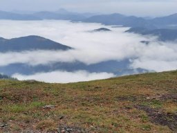 2021 Muckenkogel (13)